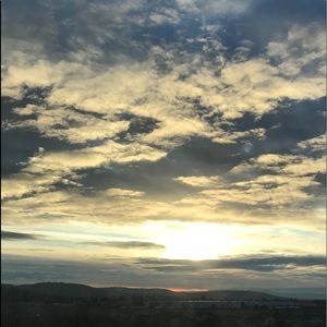 Meet your Posher, Libby